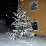 Wohleser Hétvégi ház *