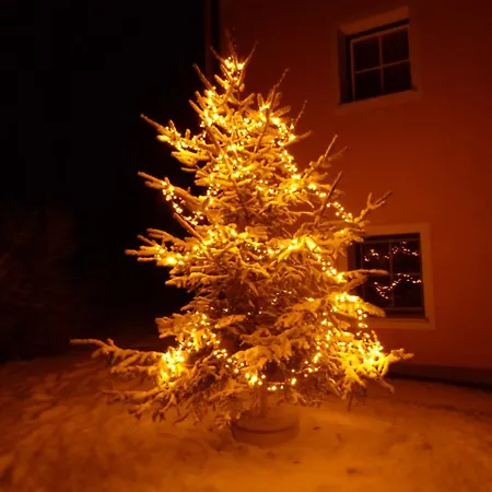 Wohleser Летний дом