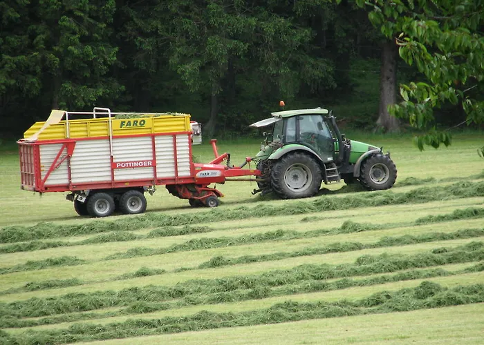 Venkovský dům Wohleser