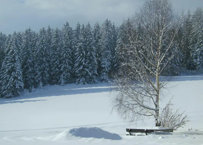 沃莱瑟乡村民宿