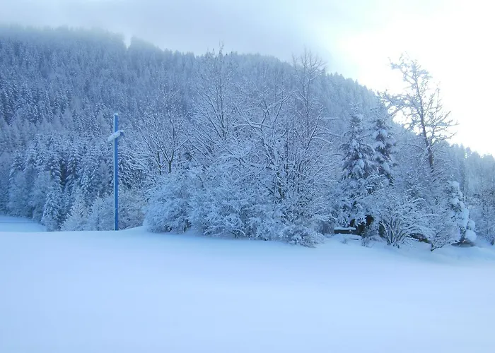 乡村民宿 沃莱瑟乡村民宿