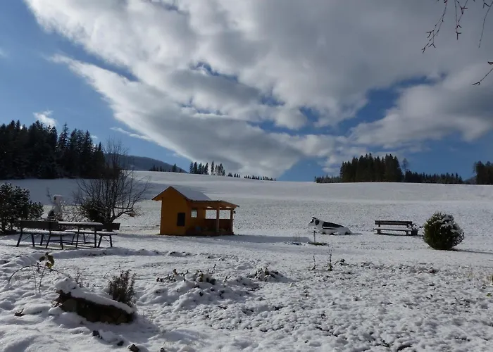 沃莱瑟乡村民宿 乡村民宿 *